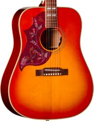 IBG Hummingbird Standard LH - cherry sunburst