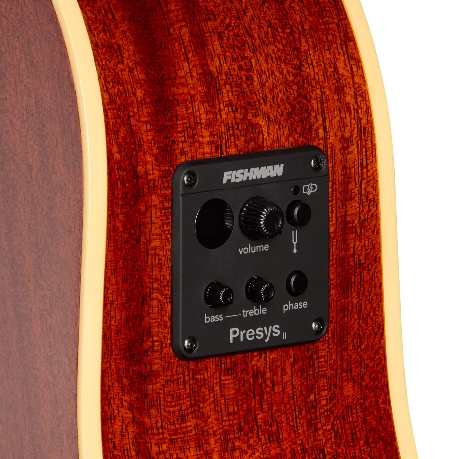 Epiphone J45 Standard Ec Ibg Dreadnought Cw Epicea Acajou Rw - Honey Burst - Guitarra folk - Variation 3