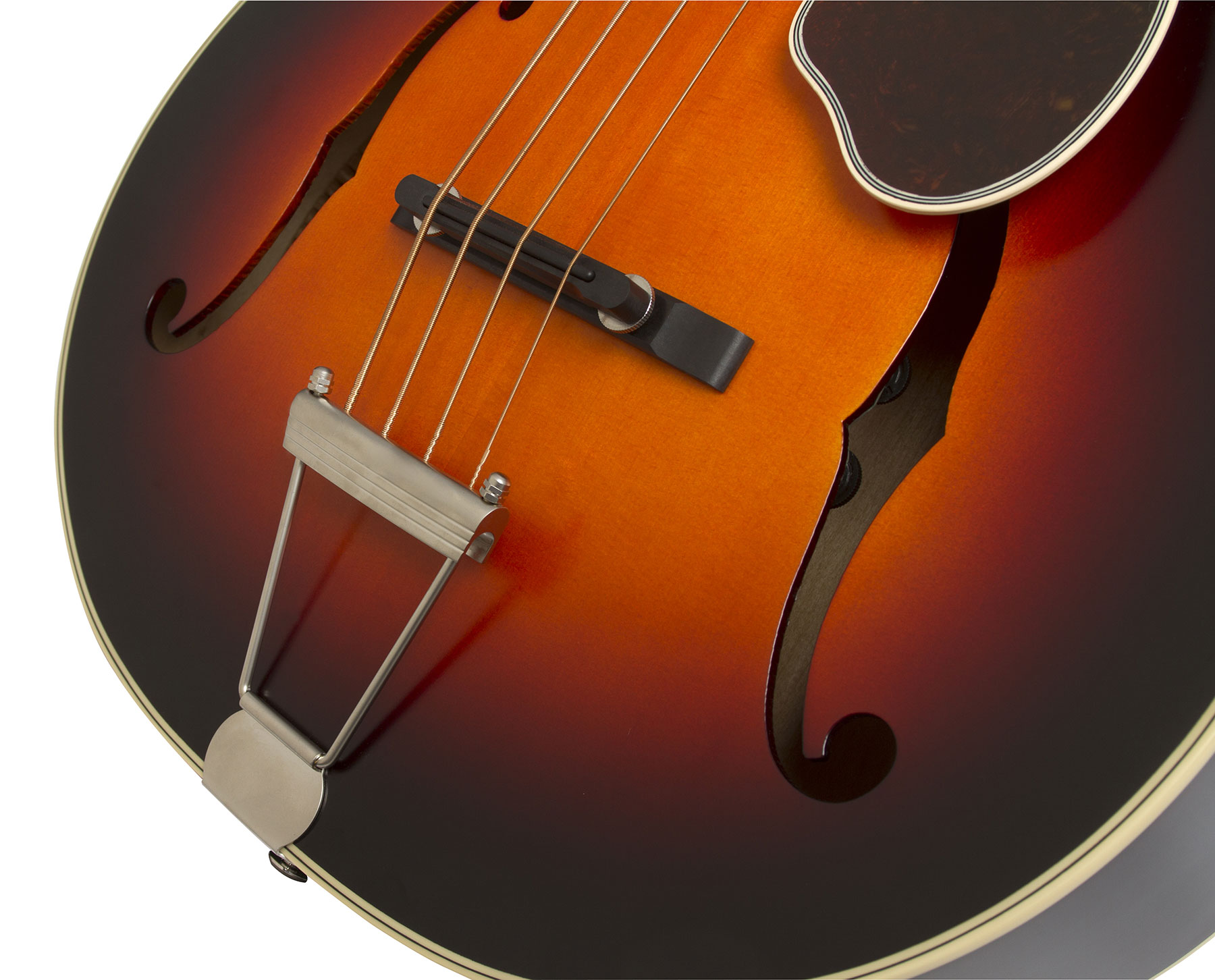Epiphone Masterbilt Century De Luxe Classic 4-string Acoustic/electric Bass Eb - Vintage Sunburst - Bajo eléctrico semi caja - Variation 2