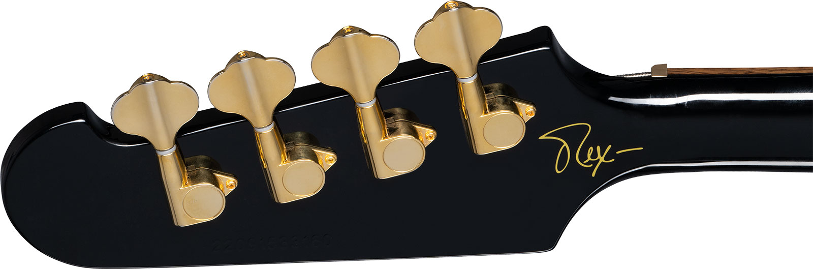 Epiphone Rex Brown Thunderbird Signature Lau - Ebony - Bajo eléctrico de cuerpo sólido - Variation 4