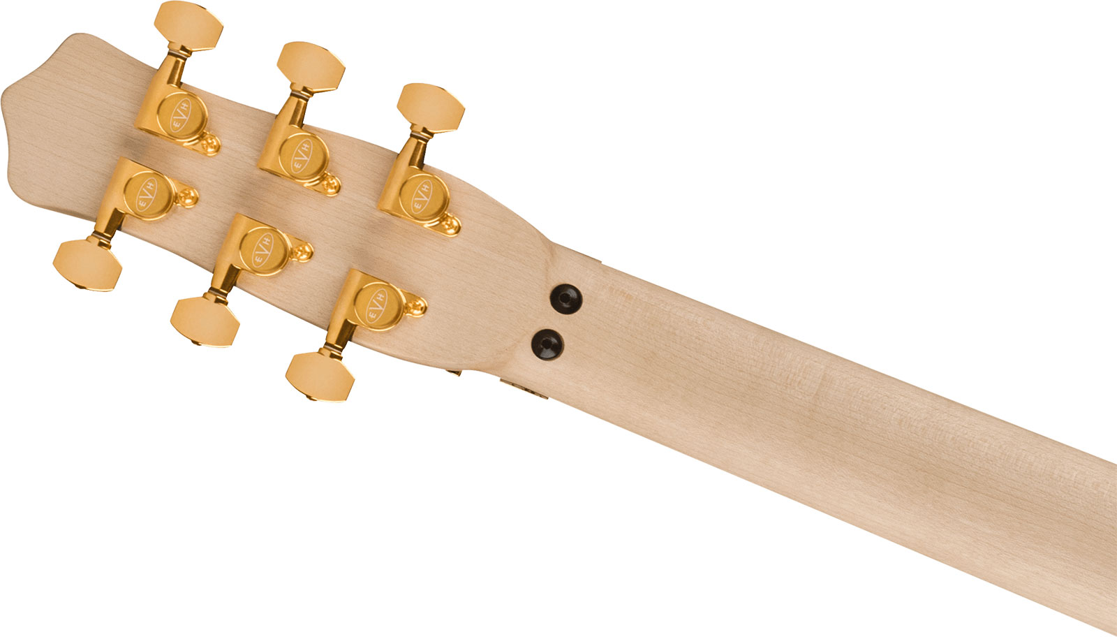 Evh Star Limited Edition 1h Fr Eb - Stealth Black With Gold Hardware - Guitarra electrica metalica - Variation 3