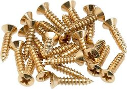 Tornillos Fender Pickguard - Control Plate Mounting Screws (24) Gold
