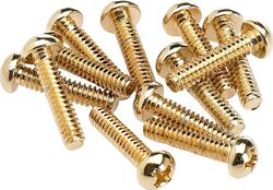 Tornillos Fender Pickup & Selector Switch Mounting Screws (12) - Gold