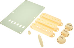 Kit accesorios Fender Stratocaster Accessory Kit - Aged White