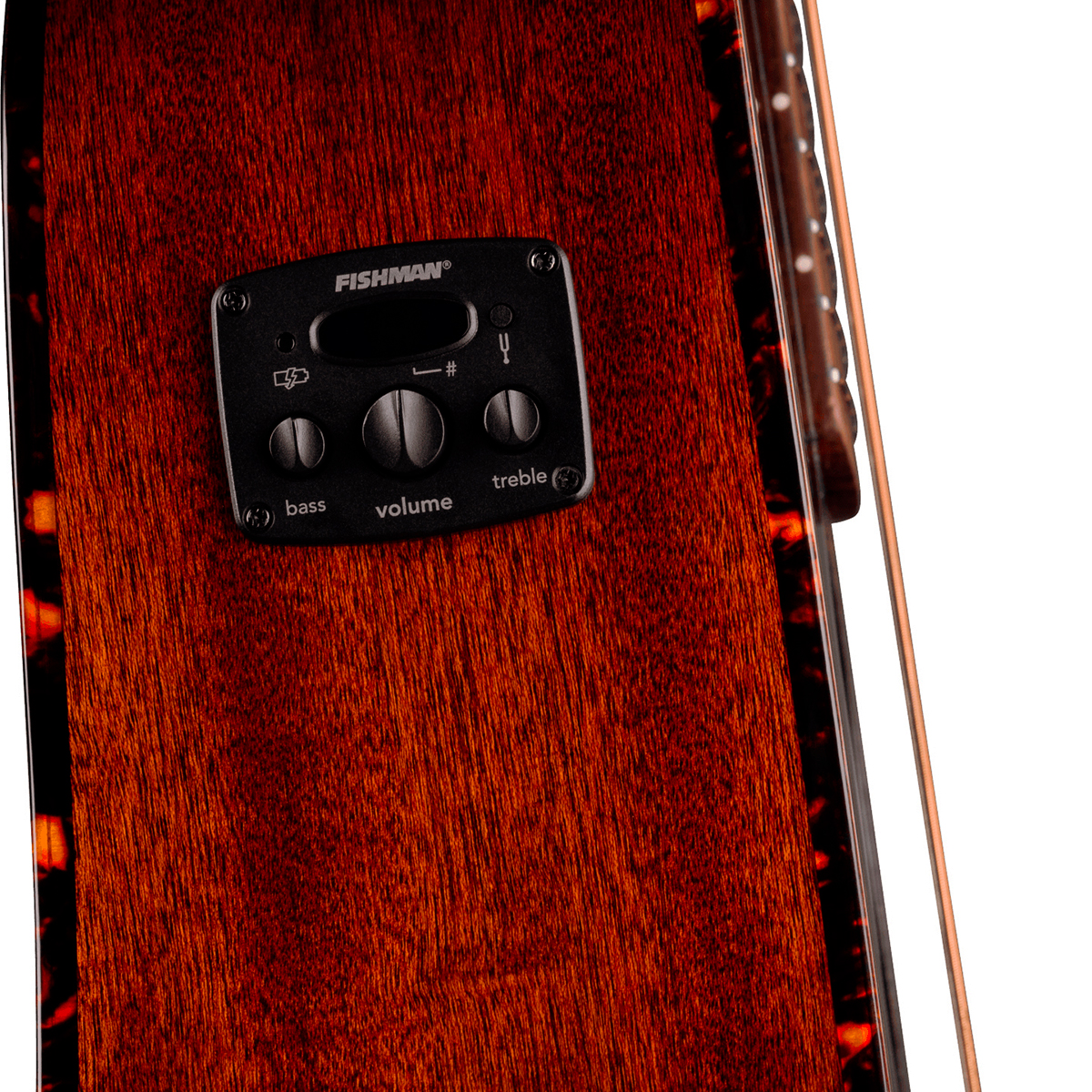Fender Monterey Deluxe E California Orchestra Om Epicea Acajou Noy - Black - Guitarra folk - Variation 2