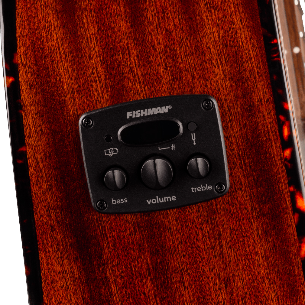 Fender Newporter Deluxe Ce California Auditorium Cw Epicea Acajou Wal - Natural - Guitarra folk - Variation 3