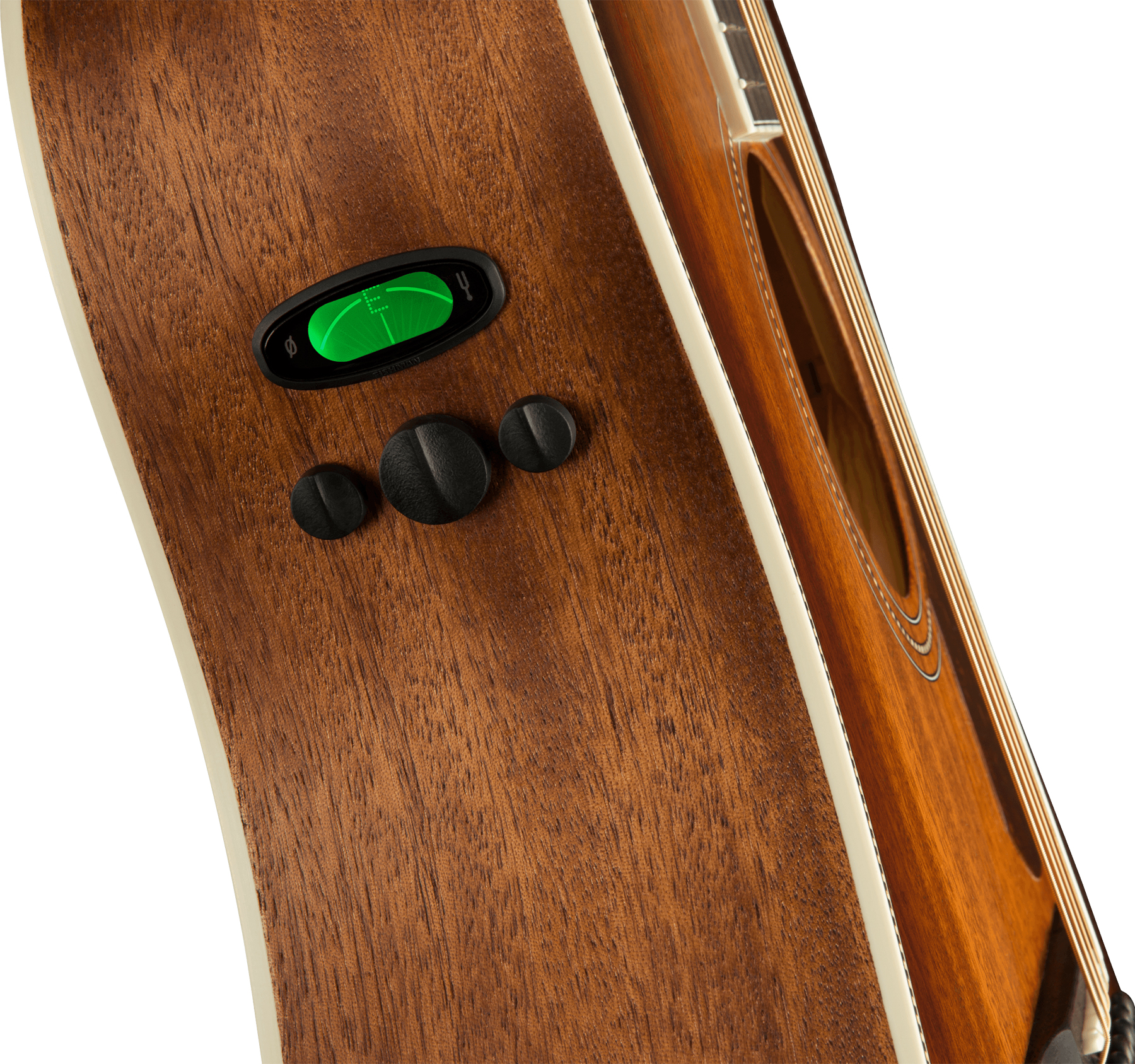 Fender Pm-1e All-mahogany Ne Paramount Dreadnought Tout Acajou Ova +etui - Aged Cognac Burst - Guitarra folk - Variation 3