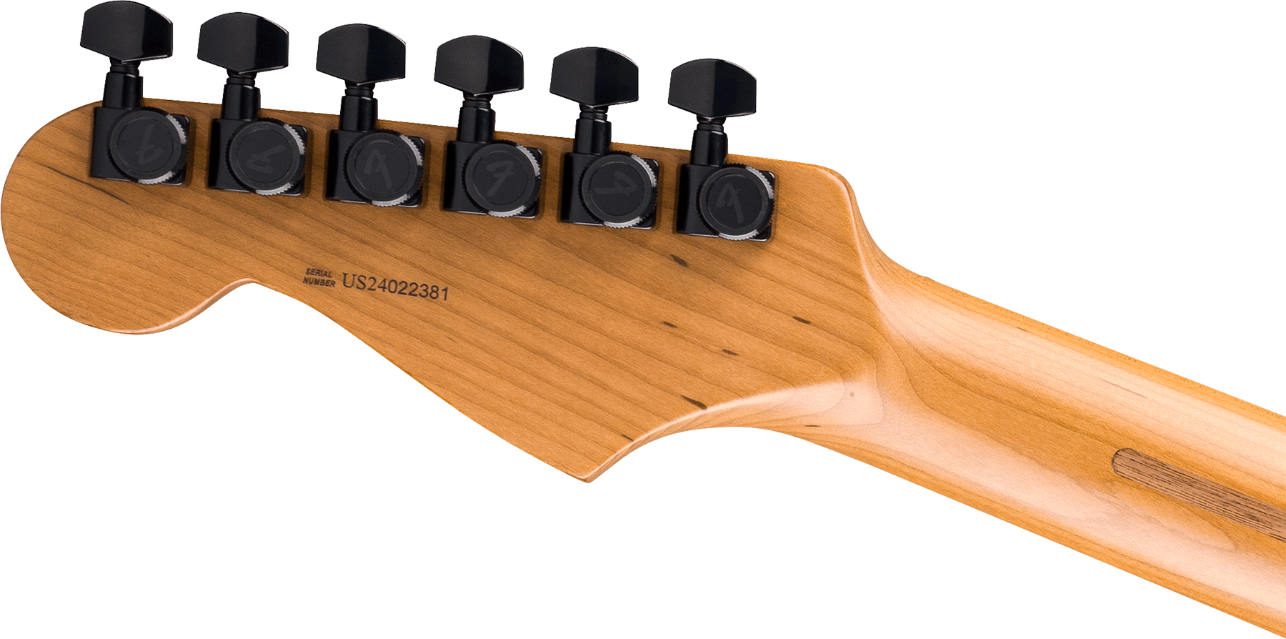 Fender Strat American Pro Ii Hss Ltd Usa Seymour Duncan Ht Mn - Ebony Smoke - Guitarra eléctrica con forma de str. - Variation 3