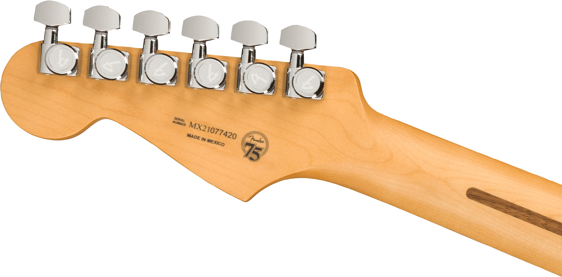 Fender Strat Player Plus Mex Hss Trem Pf - Silverburst - Guitarra eléctrica con forma de str. - Variation 3