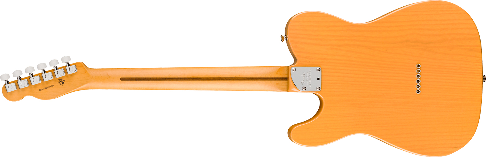 Fender Tele American Pro. Usa  2s Ht Mn - Butterscotch Blonde - Guitarra eléctrica con forma de tel - Variation 1