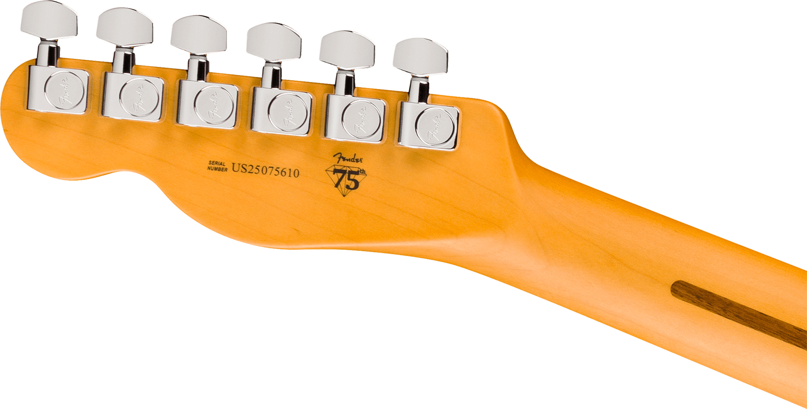 Fender Tele American Pro. Usa  2s Ht Rw - Oxblood - Guitarra eléctrica con forma de tel - Variation 4
