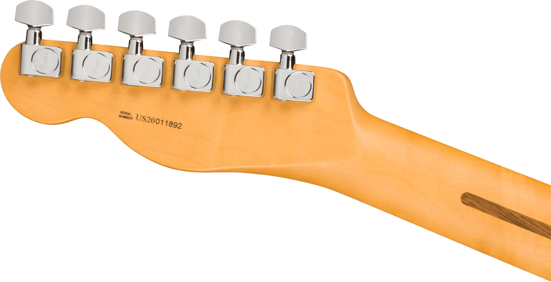 Fender Tele American Professional Ii Usa Mn - Miami Blue - Guitarra eléctrica con forma de tel - Variation 1