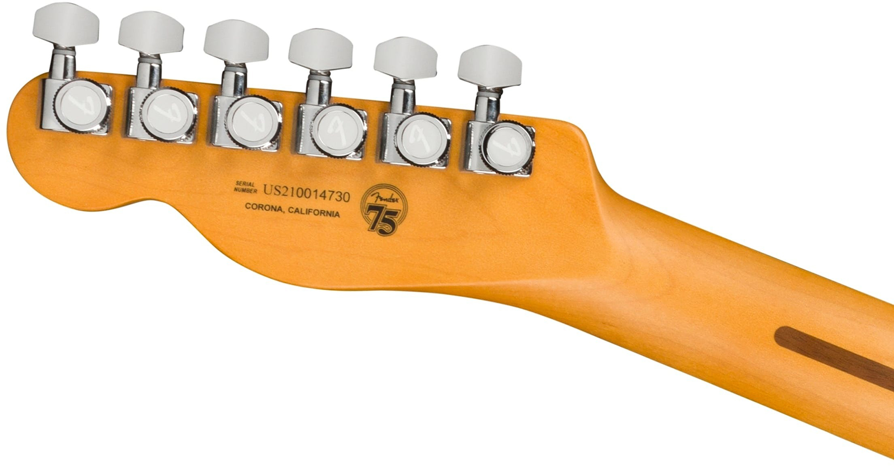 Fender Tele American Ultra Fsr Ltd Usa 2s Ht Eb - Mystic Pine Green - Guitarra eléctrica con forma de tel - Variation 4