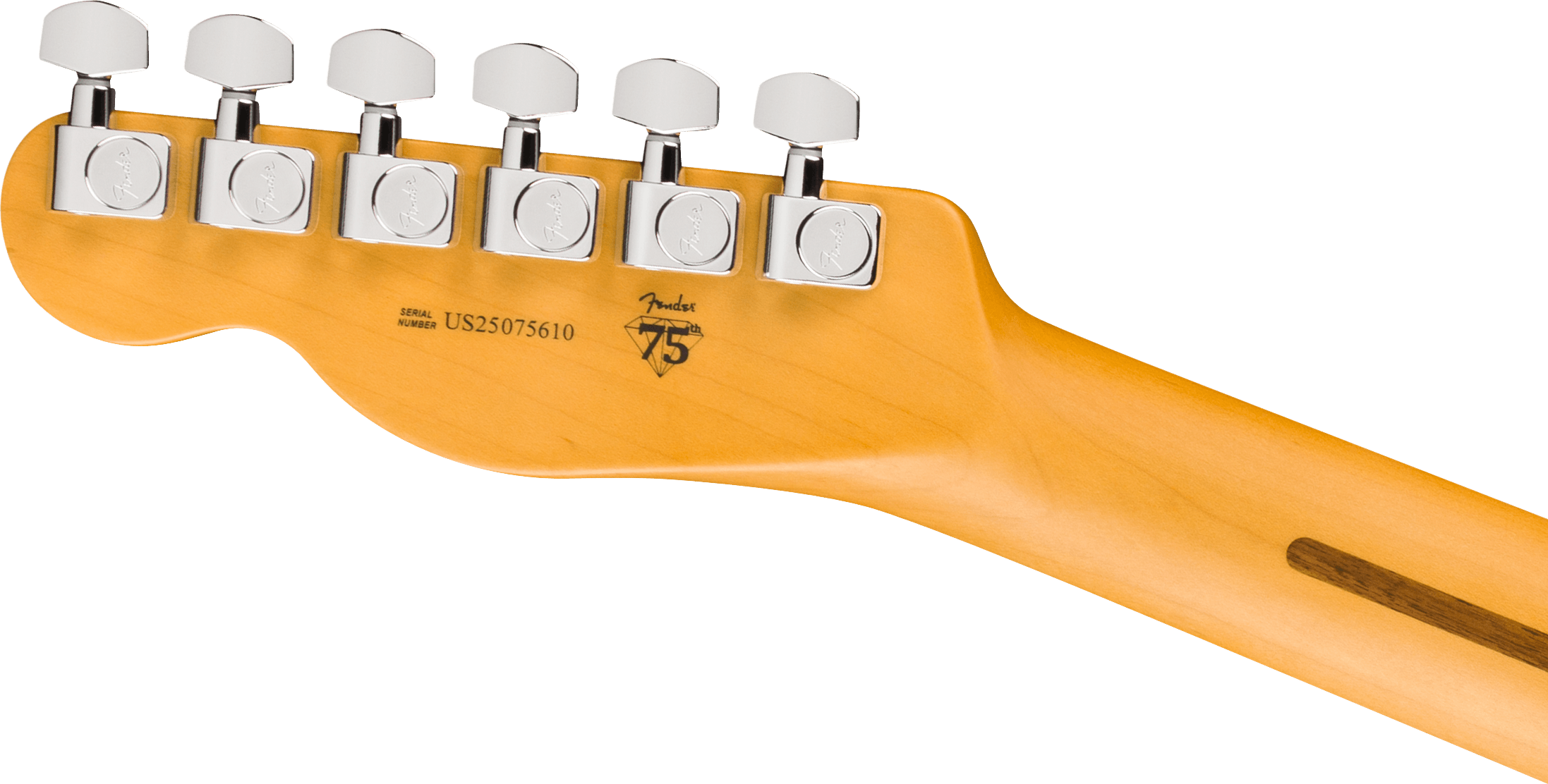 Fender Tele Hot Shot American Pro. Usa  2s Ht Rw - Oxblood - Guitarra eléctrica con forma de tel - Variation 4