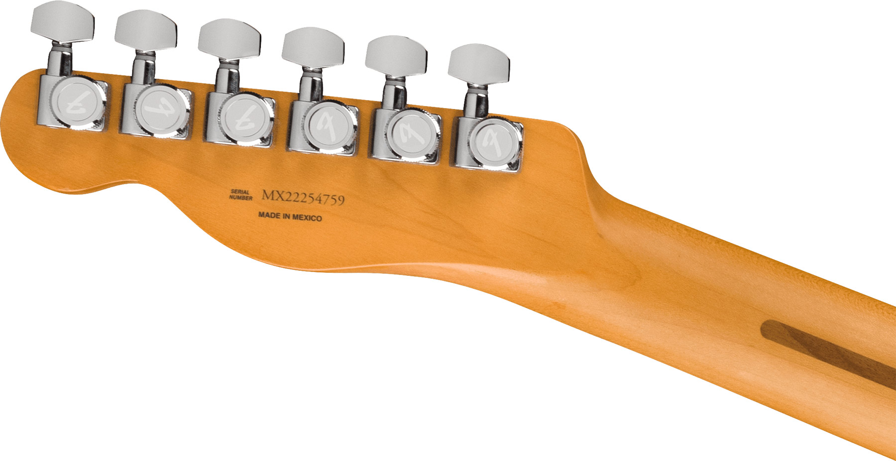 Fender Tele Player Plus Mex 2023 2s Ht Mn - Butterscotch Blonde - Guitarra eléctrica con forma de tel - Variation 3