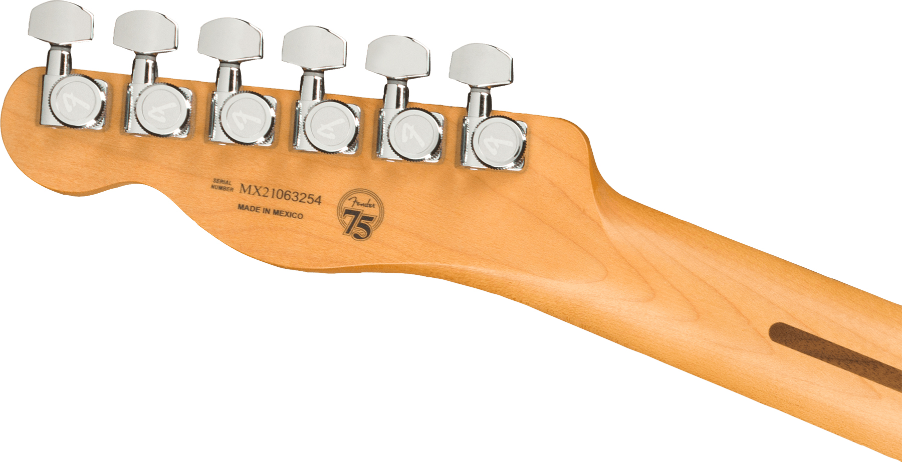 Fender Tele Player Plus Nashville Mex 3s Ht Pf - Opal Spark - Guitarra eléctrica con forma de tel - Variation 3