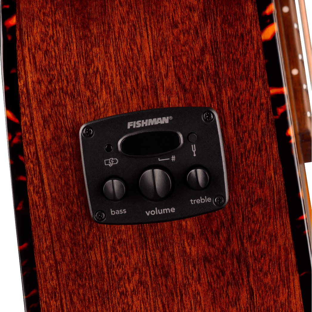 Fender Villager Deluxe E California Orchestra Om 12c Shsc Epicea Acajou Noy - Black - Guitarra folk - Variation 3