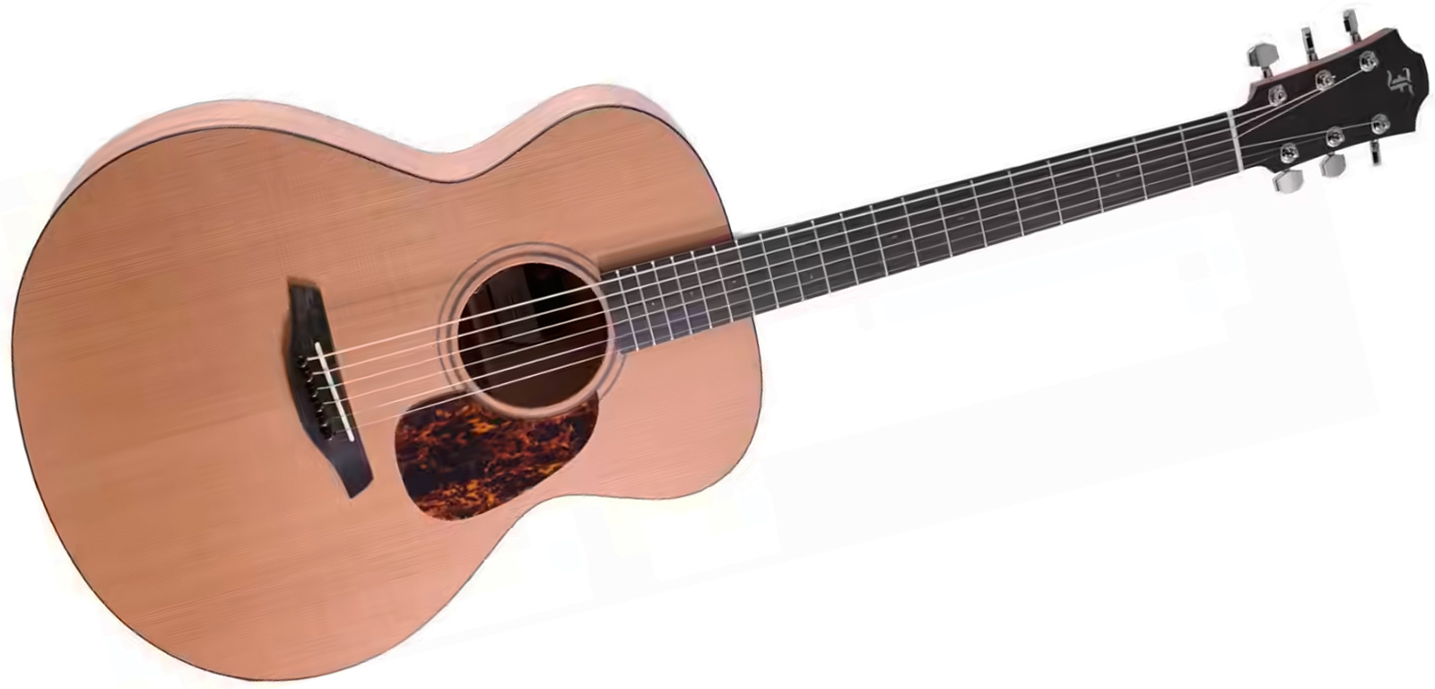 Furch Blue Cm A G Lrb1 Grand Auditorium Cedre Acajou Eb - Natural Open-pore - Guitarra folk - Variation 1