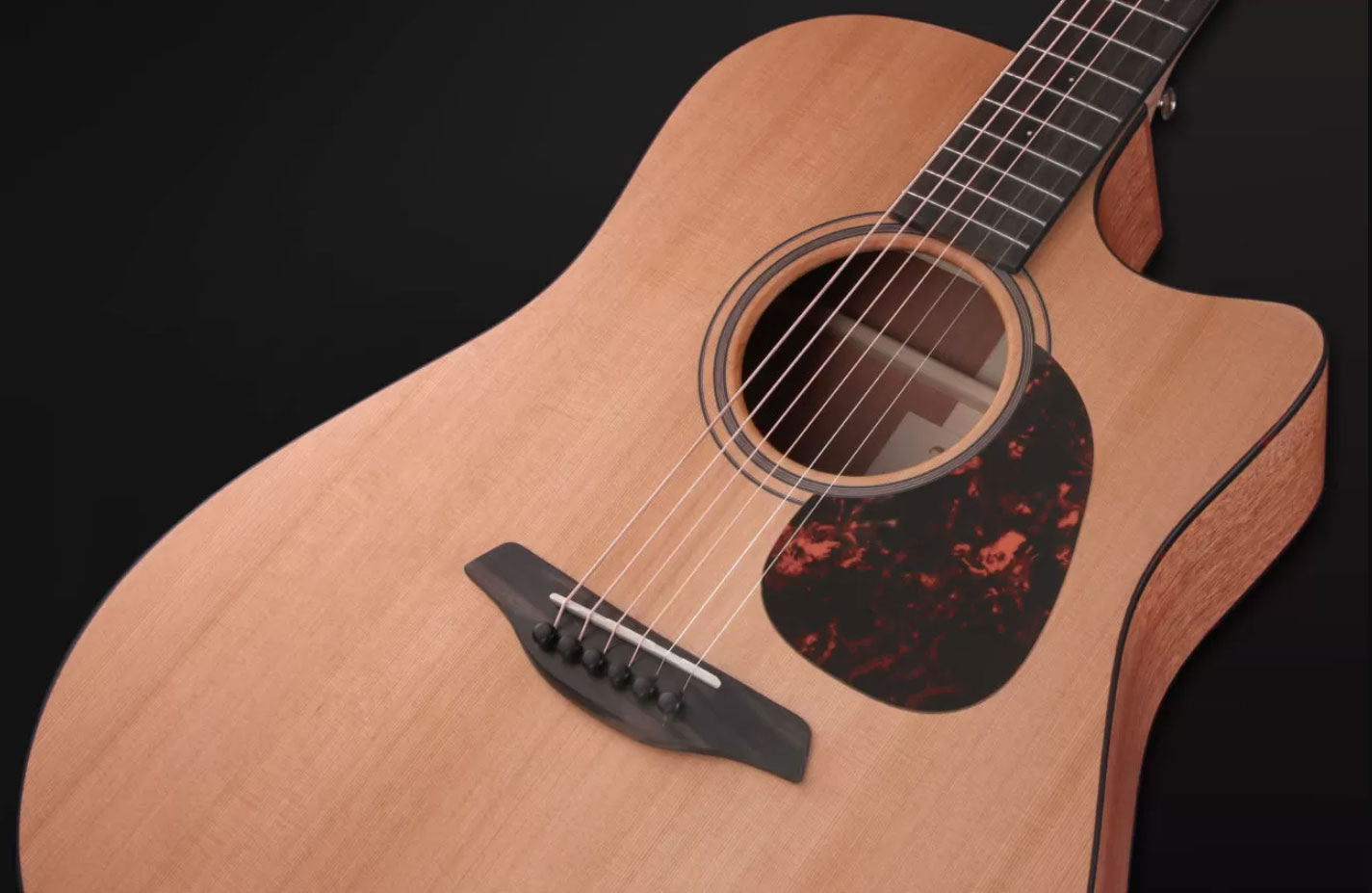 Furch Blue Dc-cm 43mm Lrb1 Dreadnought Cw Cedre Acajou Eb - Natural Full-pore Gloss - Guitarra folk - Variation 3