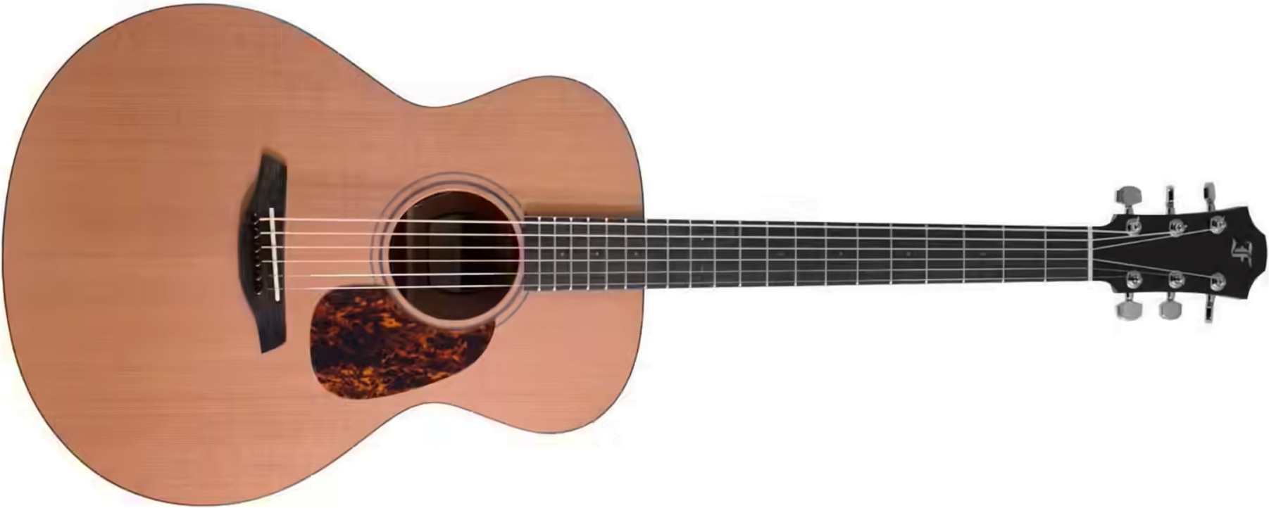 Furch Blue Cm A G Lrb1 Grand Auditorium Cedre Acajou Eb - Natural Open-pore - Guitarra folk - Main picture