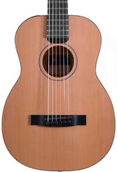 Guitarra folk de viaje Furch Travel Little Jane LJ 10-CM
