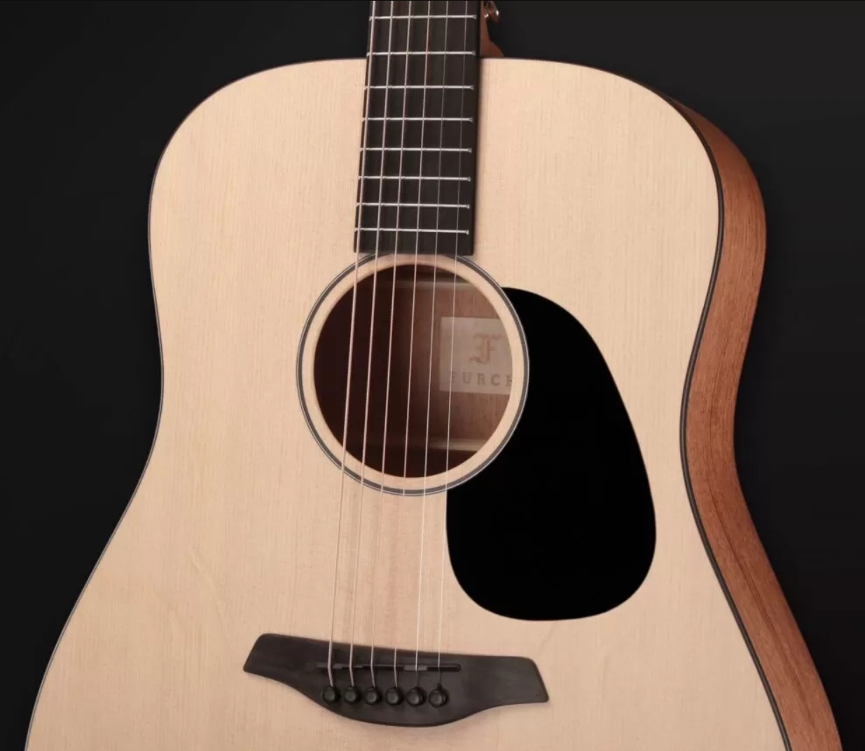 Furch Violet D-em Lrb1 43mm Dreadnought Epicea Acajou Bkbr - Guitarra Dreadnought - Variation 3