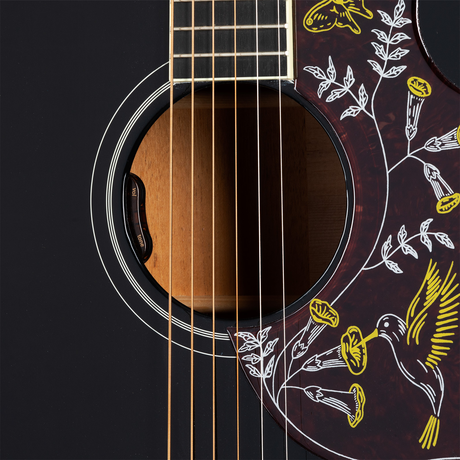 Gibson Hummingbird Standard Modern Dreadnought Epicea Acajou Rw - Ebony - Guitarra folk - Variation 4