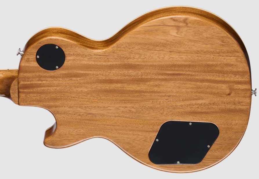 Gibson Les Paul Standard 50s Double Trouble Original Usa 2h Ht Rw - Vintage Honey Burst - Guitarra eléctrica de corte único. - Variation 3