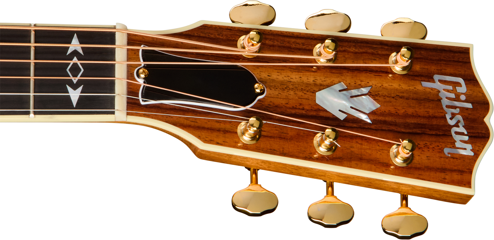 Gibson Songwriter Recording Artist (baggs Hifi Dna) Dreadnought Cw Epicea Palissandre Eb - Rosewood Burst - Guitarra folk - Variation 4