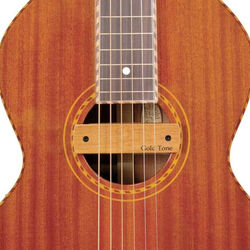 Pastilla guitarra acústica Gold tone Weissenborn Pickup