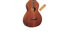 Lap steel guitarra Gold tone SM-Weissenborn Hawaiian-Style Slide Guitar + Pickup +Case - Naturel