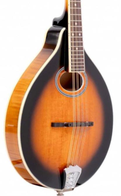 Mandolina Gold tone GM-50 + - Sunburst