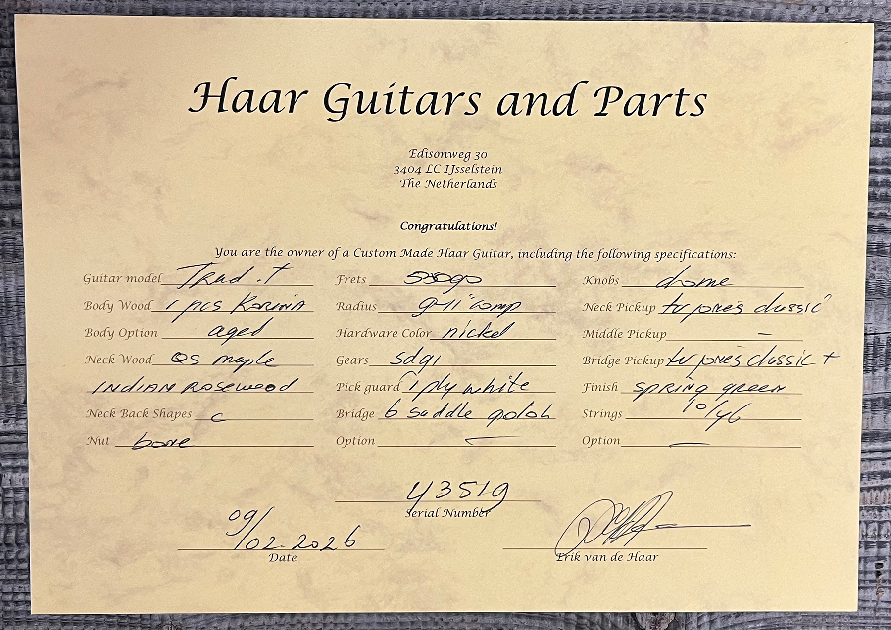 Haar Guitars Trad T Custom 2h Tv Jones Ht Rw #43519 - Aged Spring Green - Guitarra eléctrica con forma de tel - Variation 12