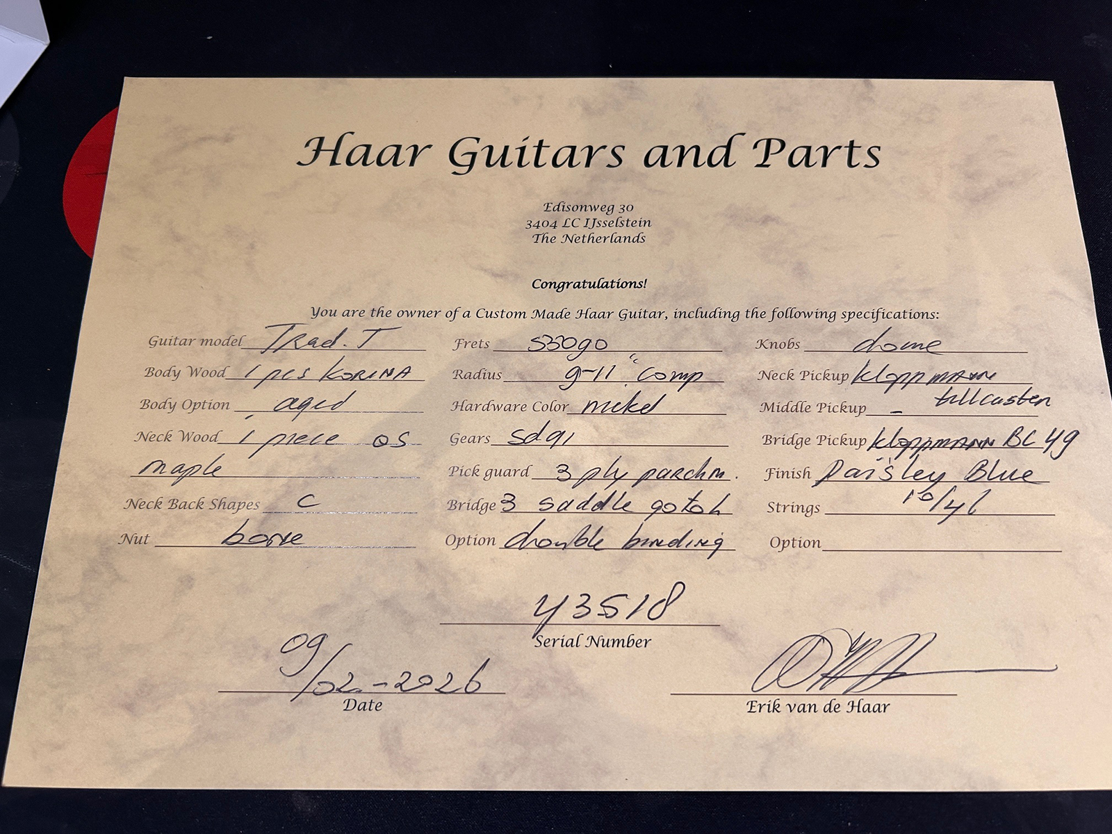 Haar Guitars Trad T Custom 2s Kloppmann Mn  #43518 - Aged Paisley Blue - Guitarra eléctrica con forma de tel - Variation 12