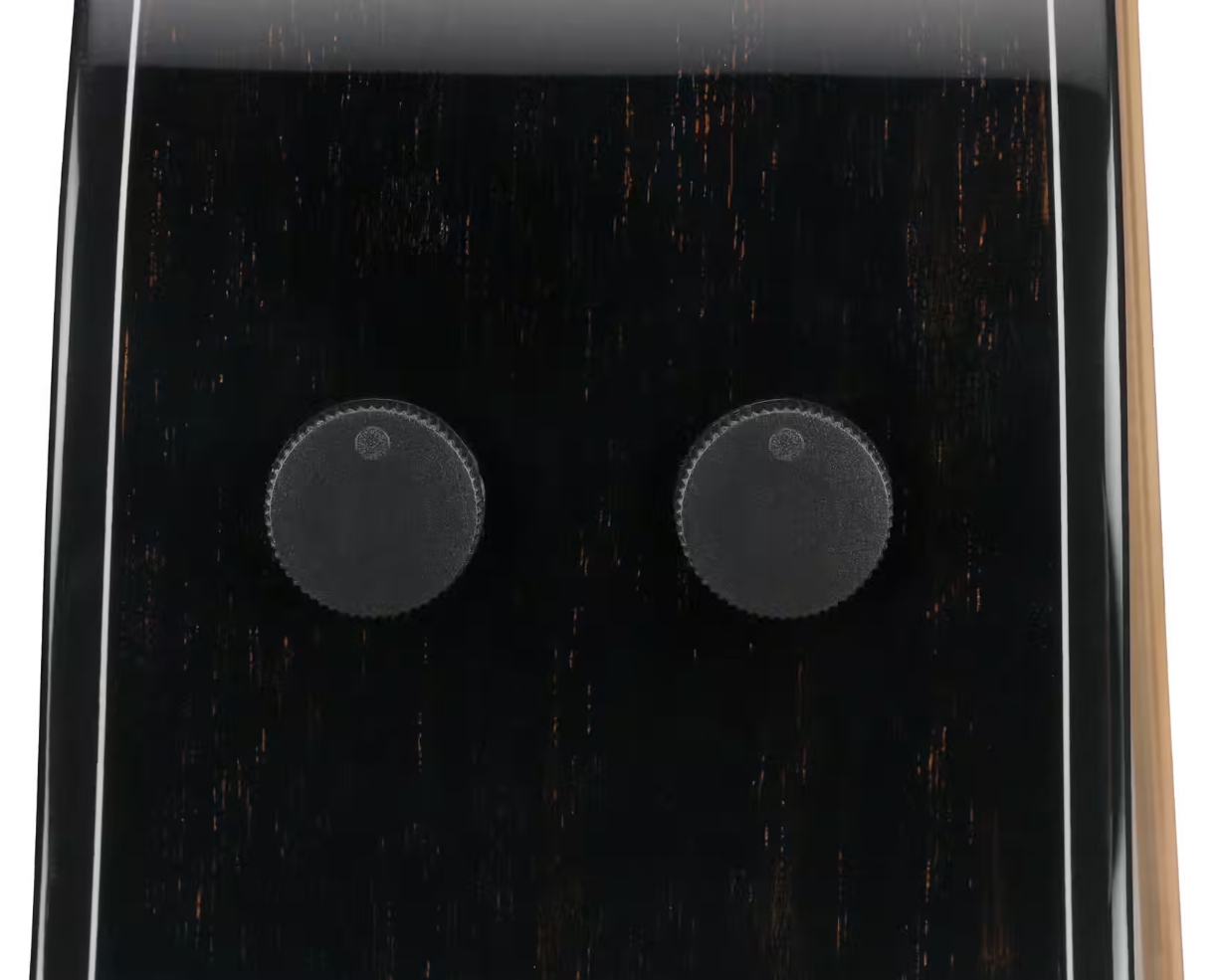 Ibanez Aam340ce Rub Advanced Auditorium Cw Tout Acajou Rw - Rustic Black - Guitarra folk - Variation 3