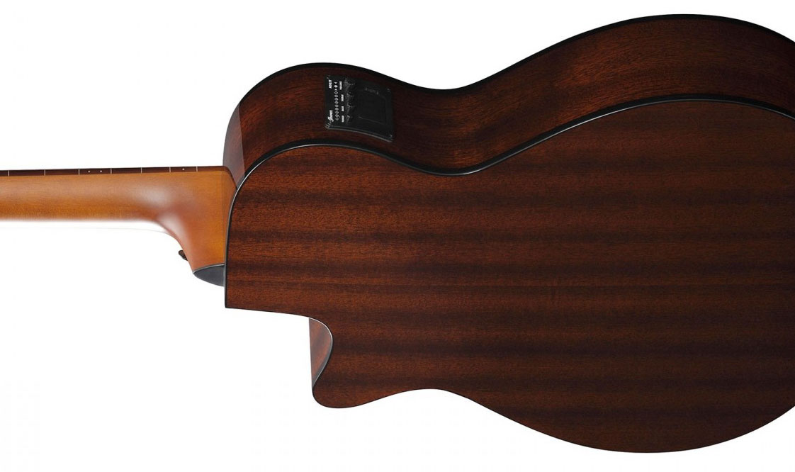 Ibanez Aegb24fe Mhs Fretless Cw Tout Sapele Noy - Mahogany Sunburst - Bajo acústico - Variation 3