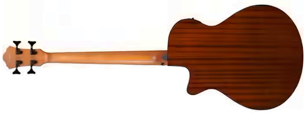 Ibanez Aegb25e Tkh Cw Epicea Sapele Rw - Transparent Black Sunburst - Bajo acústico - Variation 1