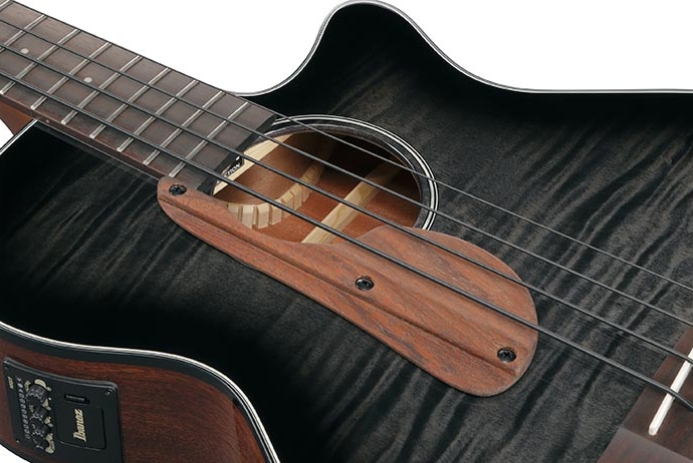 Ibanez Aegb25e Tkh Cw Epicea Sapele Rw - Transparent Black Sunburst - Bajo acústico - Variation 2