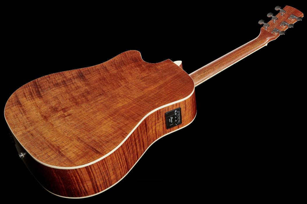 Ibanez Aw417ce Ops Artwood Dreadnought Cw Epicea Okoume Pf - Open Pore Semi-gloss - Guitarra folk - Variation 1