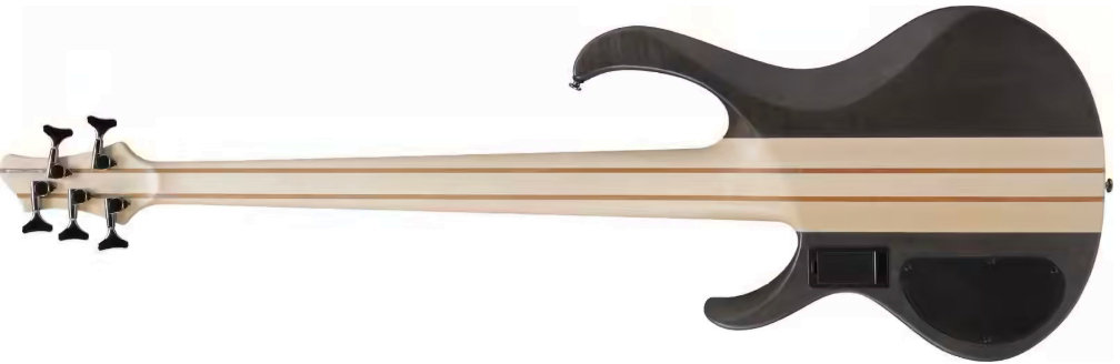 Ibanez Btb605 Tgf Standard 5c Active Eb - Transparent Gray Flat - Bajo eléctrico de cuerpo sólido - Variation 1