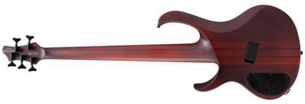 Ibanez Btb705lm Nnf Workshop 5c Multiscale Active Rw - Natural Browned Burst Flat - Bajo eléctrico de cuerpo sólido - Variation 1
