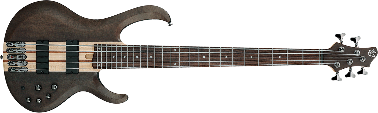 Ibanez Btb605 Tgf Standard 5c Active Eb - Transparent Gray Flat - Bajo eléctrico de cuerpo sólido - Main picture