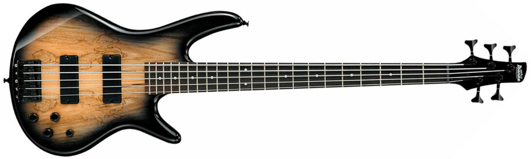 Ibanez Gsr205sm Ngt Gio Nzp - Natural Gray Burst - Bajo eléctrico de cuerpo sólido - Main picture