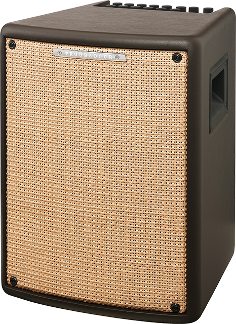 Ibanez Troubadour T80ii - Combo amplificador acústico - Main picture