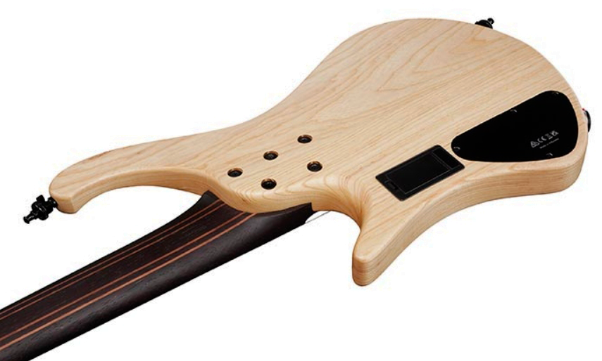 Ibanez Ehb1675ms Ntf Workshop 5c Multiscale Active Pp - Natural Flat - Bajo eléctrico de cuerpo sólido - Variation 3