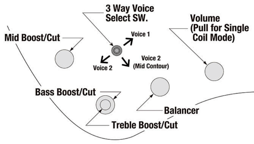 Ibanez Ehb1675ms Ntf Workshop 5c Multiscale Active Pp - Natural Flat - Bajo eléctrico de cuerpo sólido - Variation 4