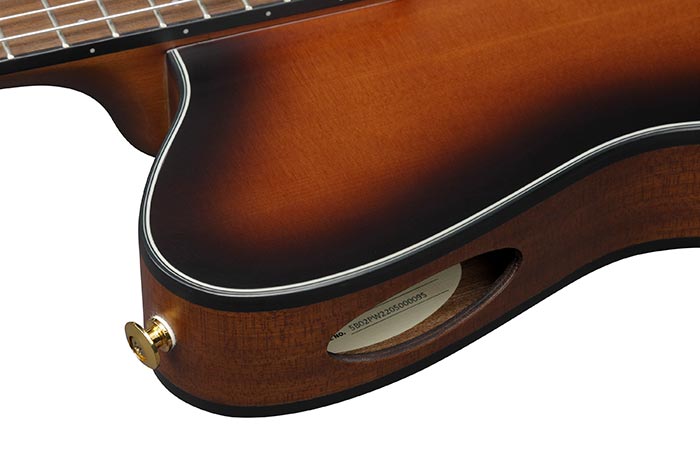 Ibanez Frh10nl Bsf Hybrid Cw Gaucher Epicea Sapele Wal - Brown Sunburst Flat - Guitarra clásica 4/4 - Variation 2