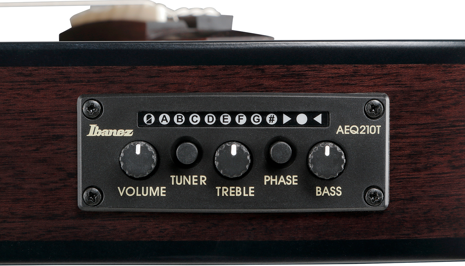 Ibanez Frh20fmn Dgl Hollow Cw Erable Sapele Rw - Deep Emerald Green - Guitarra clásica 4/4 - Variation 4