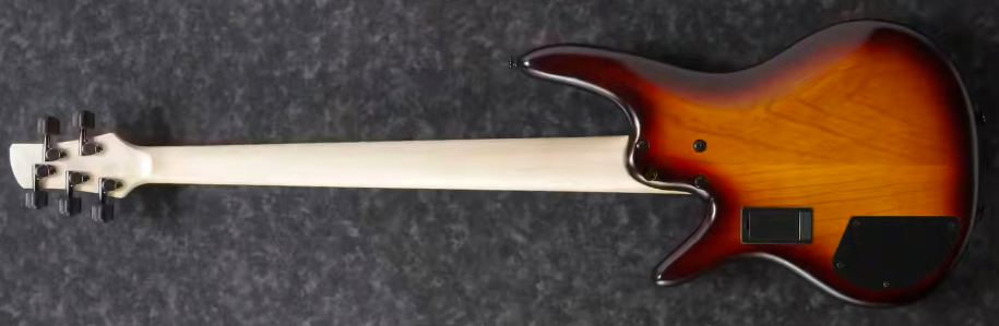 Ibanez Gary Willis Gwb205 Tqf Signature Fretless 5c Active Bartolini Eb - Tequila Sunrise Flat - Bajo eléctrico de cuerpo sólido - Variation 1