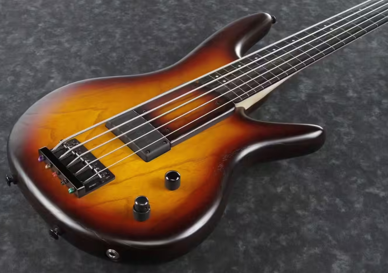 Ibanez Gary Willis Gwb205 Tqf Signature Fretless 5c Active Bartolini Eb - Tequila Sunrise Flat - Bajo eléctrico de cuerpo sólido - Variation 2